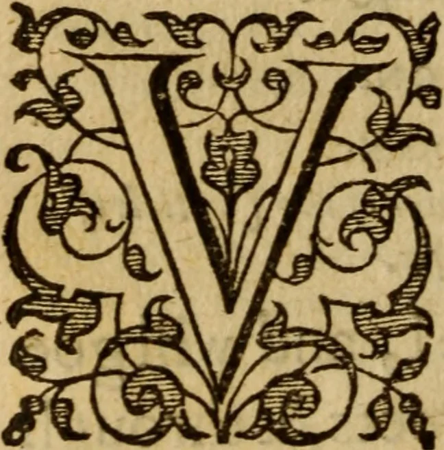 An illustration from Master Bezaes sermons upon the three first chapters of the Canticle of Canticles : wherein are handled the chiefest points of religion controversed and debated betweene us and the adversarie at this day, especially tovching the trve Iesvs Christ and the trve chvrch, and the certaine & infallible marks both of the one and of the other, 1587, leaf 337