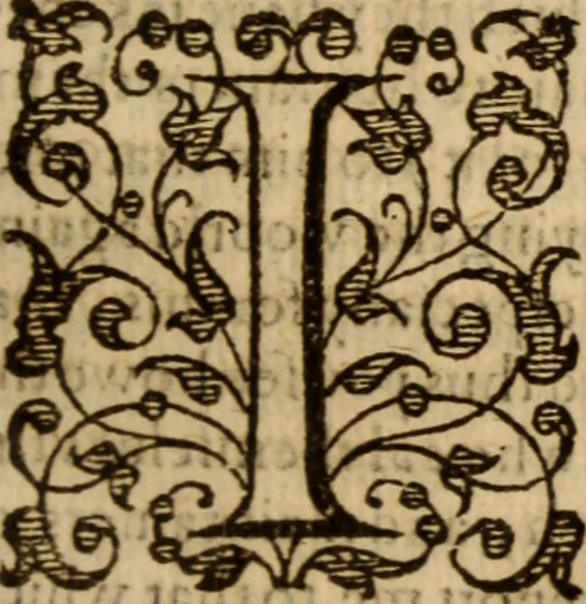 An illustration from Master Bezaes sermons upon the three first chapters of the Canticle of Canticles : wherein are handled the chiefest points of religion controversed and debated betweene us and the adversarie at this day, especially tovching the trve Iesvs Christ and the trve chvrch, and the certaine & infallible marks both of the one and of the other, 1587, leaf 352