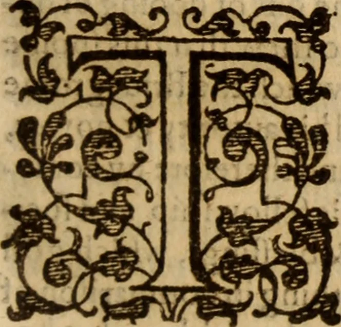An illustration from Master Bezaes sermons upon the three first chapters of the Canticle of Canticles : wherein are handled the chiefest points of religion controversed and debated betweene us and the adversarie at this day, especially tovching the trve Iesvs Christ and the trve chvrch, and the certaine & infallible marks both of the one and of the other, 1587, leaf 364