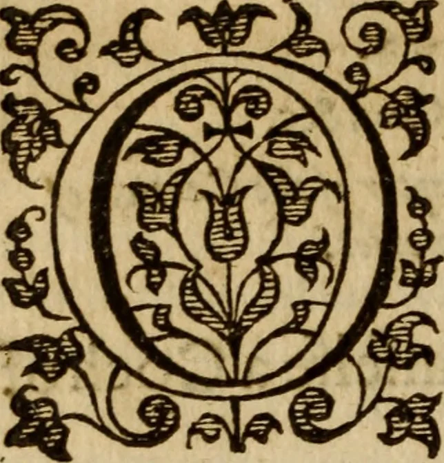 An illustration from Master Bezaes sermons upon the three first chapters of the Canticle of Canticles : wherein are handled the chiefest points of religion controversed and debated betweene us and the adversarie at this day, especially tovching the trve Iesvs Christ and the trve chvrch, and the certaine & infallible marks both of the one and of the other, 1587, leaf 379