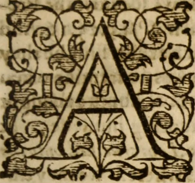 An illustration from Master Bezaes sermons upon the three first chapters of the Canticle of Canticles : wherein are handled the chiefest points of religion controversed and debated betweene us and the adversarie at this day, especially tovching the trve Iesvs Christ and the trve chvrch, and the certaine & infallible marks both of the one and of the other, 1587, leaf 394