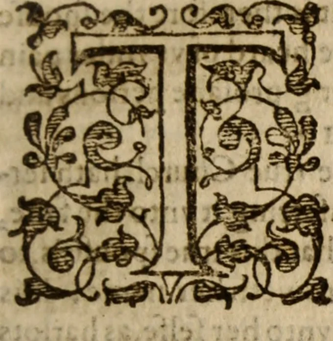 An illustration from Master Bezaes sermons upon the three first chapters of the Canticle of Canticles : wherein are handled the chiefest points of religion controversed and debated betweene us and the adversarie at this day, especially tovching the trve Iesvs Christ and the trve chvrch, and the certaine & infallible marks both of the one and of the other, 1587, leaf 406