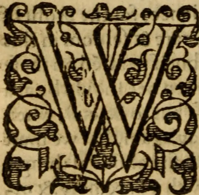 An illustration from Master Bezaes sermons upon the three first chapters of the Canticle of Canticles : wherein are handled the chiefest points of religion controversed and debated betweene us and the adversarie at this day, especially tovching the trve Iesvs Christ and the trve chvrch, and the certaine & infallible marks both of the one and of the other, 1587, leaf 47