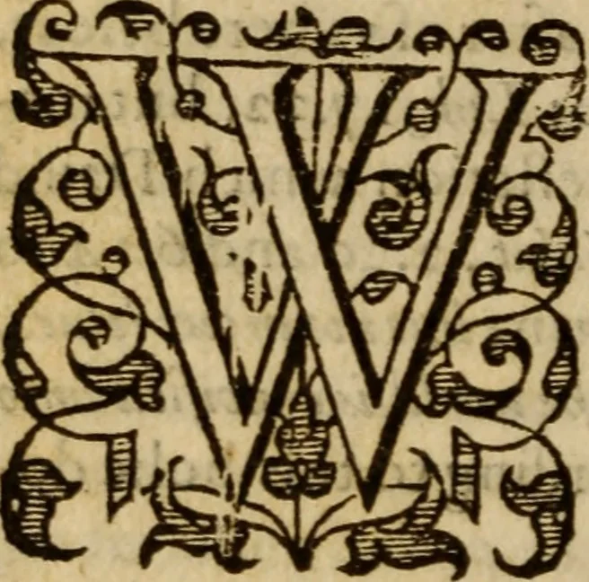 An illustration from Master Bezaes sermons upon the three first chapters of the Canticle of Canticles : wherein are handled the chiefest points of religion controversed and debated betweene us and the adversarie at this day, especially tovching the trve Iesvs Christ and the trve chvrch, and the certaine & infallible marks both of the one and of the other, 1587, leaf 91
