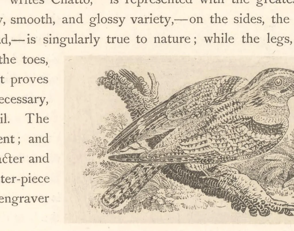 An illustration from The masters of wood-engraving, 1889, leaf 217