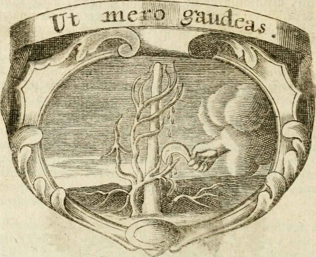 An illustration from Mater amoris et doloris : quam Christus in cruce moriens omnibus ac singulis suis fidelibus in matrem legavit : ecce mater tua : nunc explicata per sacra emblemata, figuras scripturae quàm plurimas, conceptus varios praedicabiles, SS. patrum sententias, raras historias, & pios ad Jesum patientem, ac sanctissimam matrem ejus compatientem affectus : opus omnibus Jesum & Mariam amantibus, praedicantibus, aut meditantibus perutile, com triplici indice considerationum, rerum memorabilium, & concionatorio, formandis per annum concionibus opportuno, 1741, leaf 137