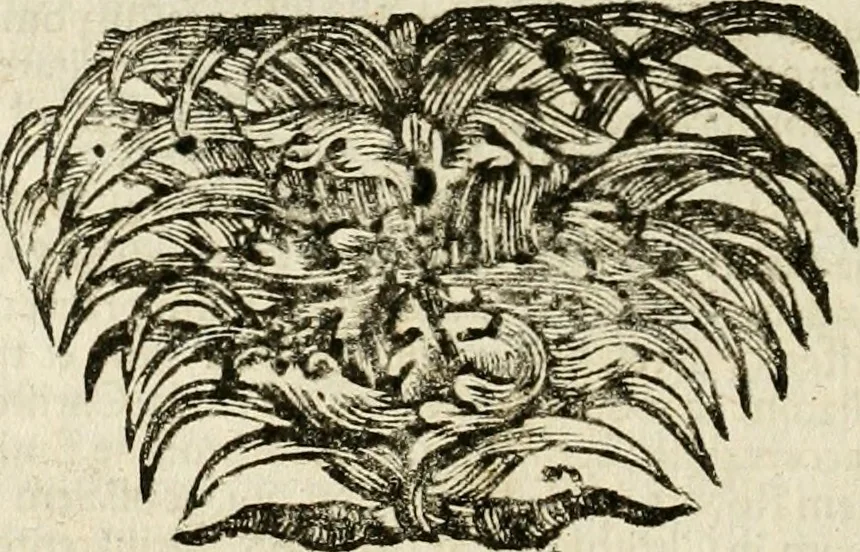 An illustration from Mater amoris et doloris : quam Christus in cruce moriens omnibus ac singulis suis fidelibus in matrem legavit : ecce mater tua : nunc explicata per sacra emblemata, figuras scripturae quàm plurimas, conceptus varios praedicabiles, SS. patrum sententias, raras historias, & pios ad Jesum patientem, ac sanctissimam matrem ejus compatientem affectus : opus omnibus Jesum & Mariam amantibus, praedicantibus, aut meditantibus perutile, com triplici indice considerationum, rerum memorabilium, & concionatorio, formandis per annum concionibus opportuno, 1741, leaf 149