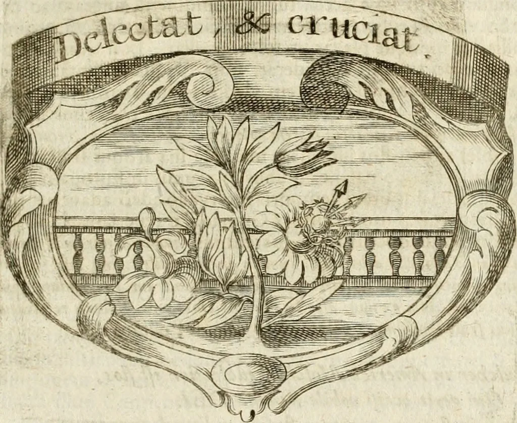 An illustration from Mater amoris et doloris : quam Christus in cruce moriens omnibus ac singulis suis fidelibus in matrem legavit : ecce mater tua : nunc explicata per sacra emblemata, figuras scripturae quàm plurimas, conceptus varios praedicabiles, SS. patrum sententias, raras historias, & pios ad Jesum patientem, ac sanctissimam matrem ejus compatientem affectus : opus omnibus Jesum & Mariam amantibus, praedicantibus, aut meditantibus perutile, com triplici indice considerationum, rerum memorabilium, & concionatorio, formandis per annum concionibus opportuno, 1741, leaf 170