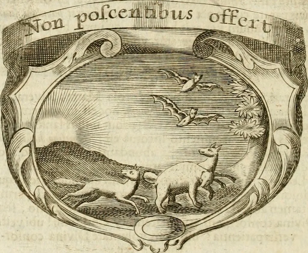 An illustration from Mater amoris et doloris : quam Christus in cruce moriens omnibus ac singulis suis fidelibus in matrem legavit : ecce mater tua : nunc explicata per sacra emblemata, figuras scripturae quàm plurimas, conceptus varios praedicabiles, SS. patrum sententias, raras historias, & pios ad Jesum patientem, ac sanctissimam matrem ejus compatientem affectus : opus omnibus Jesum & Mariam amantibus, praedicantibus, aut meditantibus perutile, com triplici indice considerationum, rerum memorabilium, & concionatorio, formandis per annum concionibus opportuno, 1741, leaf 177