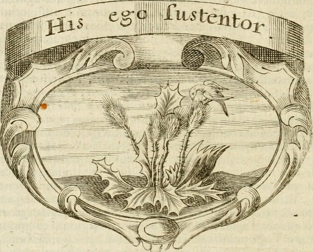 An illustration from Mater amoris et doloris : quam Christus in cruce moriens omnibus ac singulis suis fidelibus in matrem legavit : ecce mater tua : nunc explicata per sacra emblemata, figuras scripturae quàm plurimas, conceptus varios praedicabiles, SS. patrum sententias, raras historias, & pios ad Jesum patientem, ac sanctissimam matrem ejus compatientem affectus : opus omnibus Jesum & Mariam amantibus, praedicantibus, aut meditantibus perutile, com triplici indice considerationum, rerum memorabilium, & concionatorio, formandis per annum concionibus opportuno, 1741, leaf 183