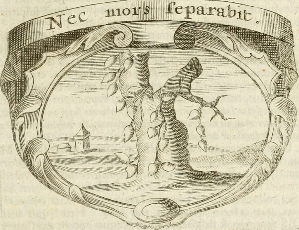 An illustration from Mater amoris et doloris : quam Christus in cruce moriens omnibus ac singulis suis fidelibus in matrem legavit : ecce mater tua : nunc explicata per sacra emblemata, figuras scripturae quàm plurimas, conceptus varios praedicabiles, SS. patrum sententias, raras historias, & pios ad Jesum patientem, ac sanctissimam matrem ejus compatientem affectus : opus omnibus Jesum & Mariam amantibus, praedicantibus, aut meditantibus perutile, com triplici indice considerationum, rerum memorabilium, & concionatorio, formandis per annum concionibus opportuno, 1741, leaf 190