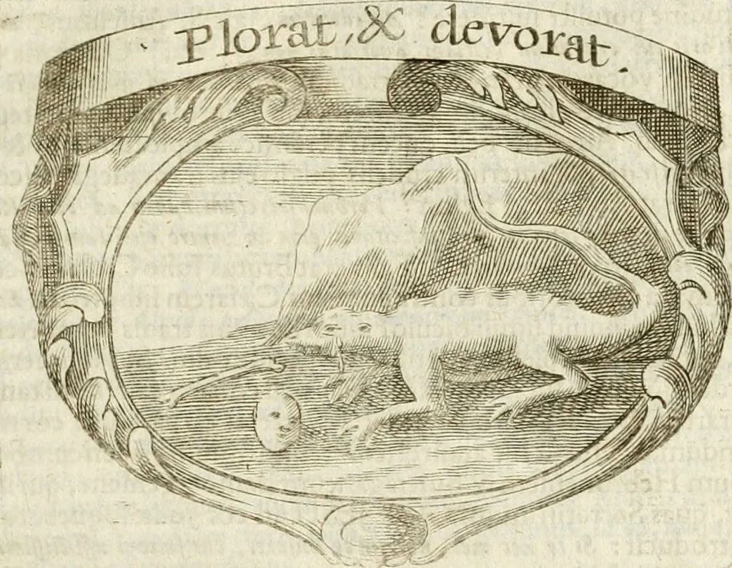 An illustration from Mater amoris et doloris : quam Christus in cruce moriens omnibus ac singulis suis fidelibus in matrem legavit : ecce mater tua : nunc explicata per sacra emblemata, figuras scripturae quàm plurimas, conceptus varios praedicabiles, SS. patrum sententias, raras historias, & pios ad Jesum patientem, ac sanctissimam matrem ejus compatientem affectus : opus omnibus Jesum & Mariam amantibus, praedicantibus, aut meditantibus perutile, com triplici indice considerationum, rerum memorabilium, & concionatorio, formandis per annum concionibus opportuno, 1741, leaf 204