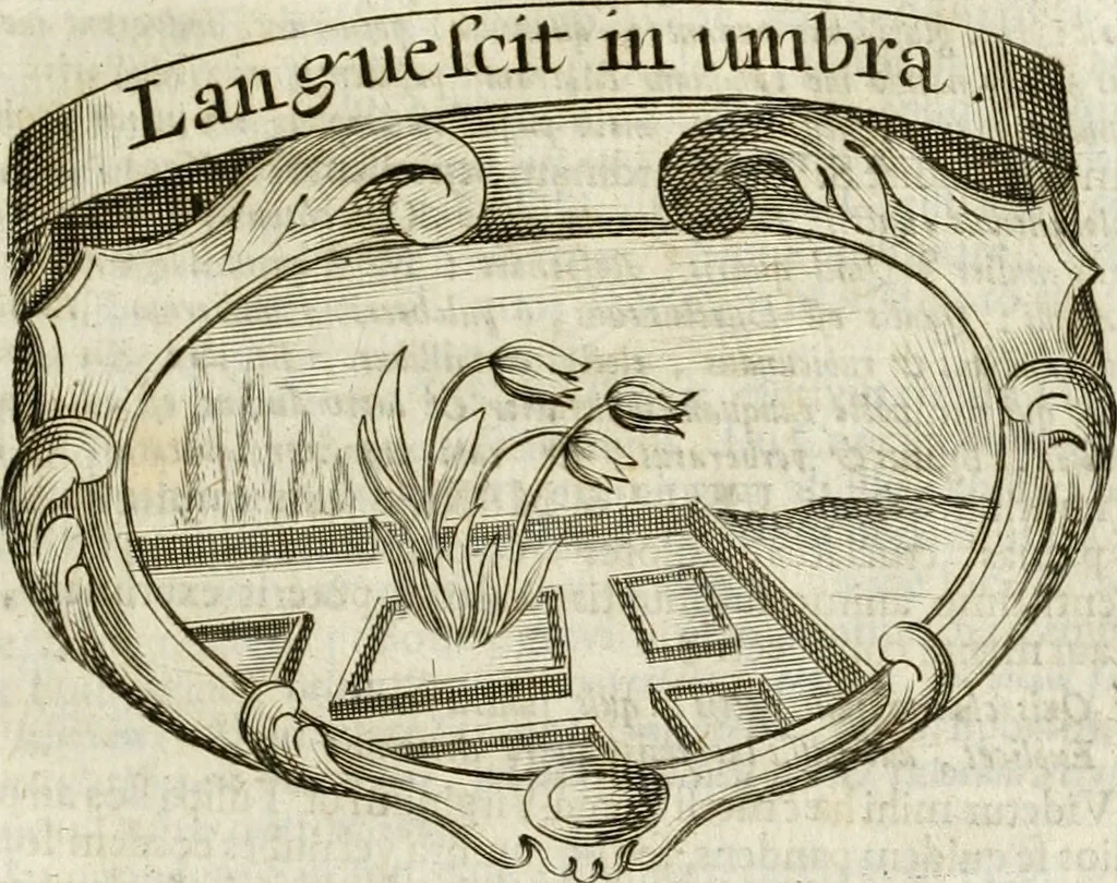 An illustration from Mater amoris et doloris : quam Christus in cruce moriens omnibus ac singulis suis fidelibus in matrem legavit : ecce mater tua : nunc explicata per sacra emblemata, figuras scripturae quàm plurimas, conceptus varios praedicabiles, SS. patrum sententias, raras historias, & pios ad Jesum patientem, ac sanctissimam matrem ejus compatientem affectus : opus omnibus Jesum & Mariam amantibus, praedicantibus, aut meditantibus perutile, com triplici indice considerationum, rerum memorabilium, & concionatorio, formandis per annum concionibus opportuno, 1741, leaf 218