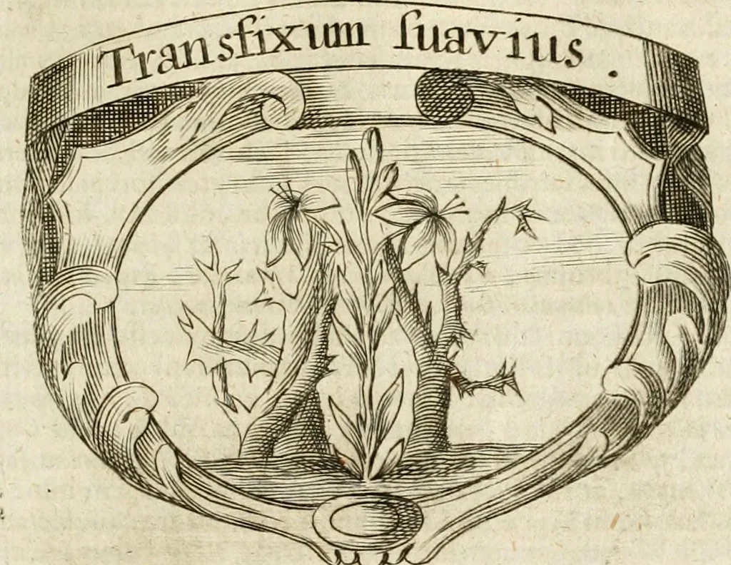 An illustration from Mater amoris et doloris : quam Christus in cruce moriens omnibus ac singulis suis fidelibus in matrem legavit : ecce mater tua : nunc explicata per sacra emblemata, figuras scripturae quàm plurimas, conceptus varios praedicabiles, SS. patrum sententias, raras historias, & pios ad Jesum patientem, ac sanctissimam matrem ejus compatientem affectus : opus omnibus Jesum & Mariam amantibus, praedicantibus, aut meditantibus perutile, com triplici indice considerationum, rerum memorabilium, & concionatorio, formandis per annum concionibus opportuno, 1741, leaf 232