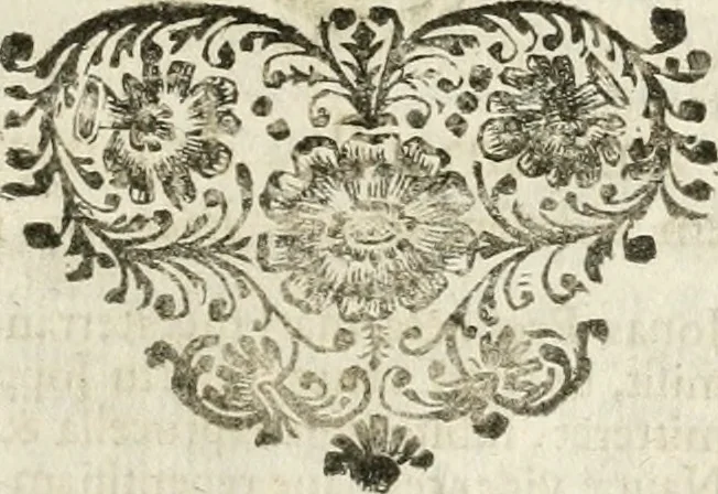 An illustration from Mater amoris et doloris : quam Christus in cruce moriens omnibus ac singulis suis fidelibus in matrem legavit : ecce mater tua : nunc explicata per sacra emblemata, figuras scripturae quàm plurimas, conceptus varios praedicabiles, SS. patrum sententias, raras historias, & pios ad Jesum patientem, ac sanctissimam matrem ejus compatientem affectus : opus omnibus Jesum & Mariam amantibus, praedicantibus, aut meditantibus perutile, com triplici indice considerationum, rerum memorabilium, & concionatorio, formandis per annum concionibus opportuno, 1741, leaf 238