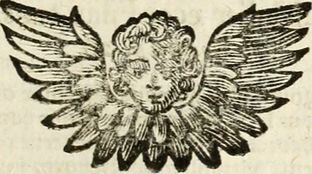An illustration from Mater amoris et doloris : quam Christus in cruce moriens omnibus ac singulis suis fidelibus in matrem legavit : ecce mater tua : nunc explicata per sacra emblemata, figuras scripturae quàm plurimas, conceptus varios praedicabiles, SS. patrum sententias, raras historias, & pios ad Jesum patientem, ac sanctissimam matrem ejus compatientem affectus : opus omnibus Jesum & Mariam amantibus, praedicantibus, aut meditantibus perutile, com triplici indice considerationum, rerum memorabilium, & concionatorio, formandis per annum concionibus opportuno, 1741, leaf 280