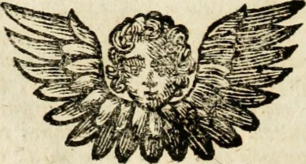An illustration from Mater amoris et doloris : quam Christus in cruce moriens omnibus ac singulis suis fidelibus in matrem legavit : ecce mater tua : nunc explicata per sacra emblemata, figuras scripturae quàm plurimas, conceptus varios praedicabiles, SS. patrum sententias, raras historias, & pios ad Jesum patientem, ac sanctissimam matrem ejus compatientem affectus : opus omnibus Jesum & Mariam amantibus, praedicantibus, aut meditantibus perutile, com triplici indice considerationum, rerum memorabilium, & concionatorio, formandis per annum concionibus opportuno, 1741, leaf 357