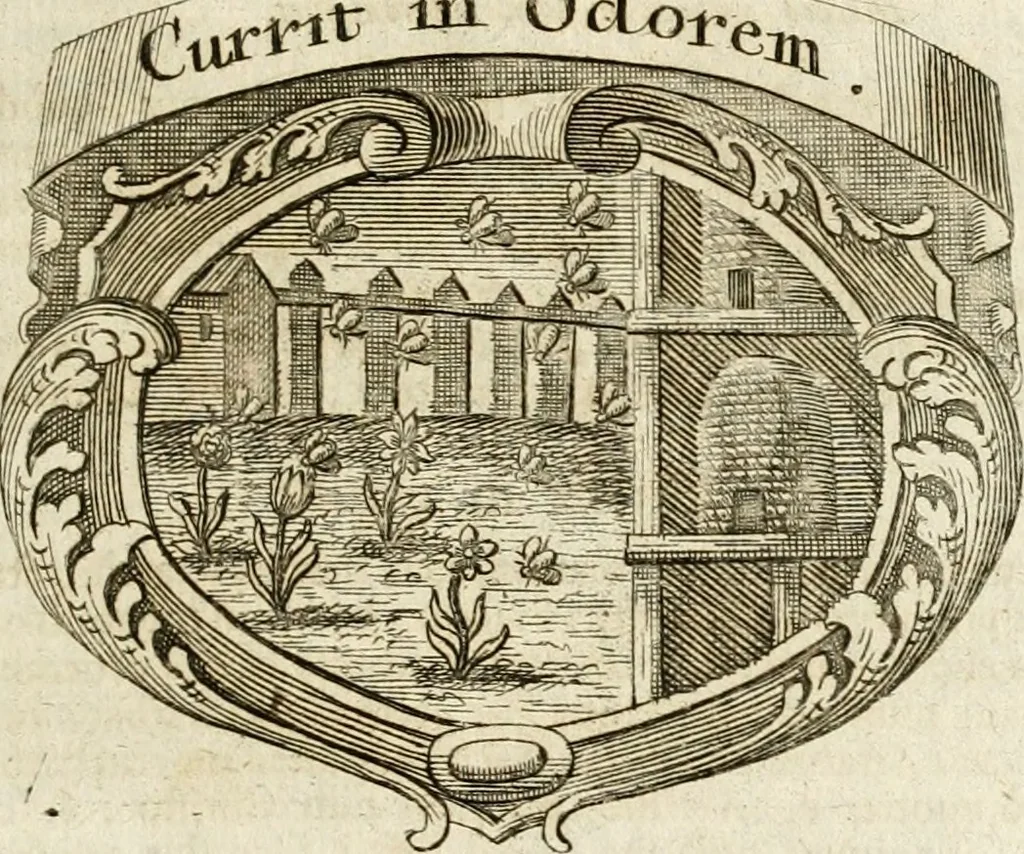 An illustration from Mater amoris et doloris : quam Christus in cruce moriens omnibus ac singulis suis fidelibus in matrem legavit : ecce mater tua : nunc explicata per sacra emblemata, figuras scripturae quàm plurimas, conceptus varios praedicabiles, SS. patrum sententias, raras historias, & pios ad Jesum patientem, ac sanctissimam matrem ejus compatientem affectus : opus omnibus Jesum & Mariam amantibus, praedicantibus, aut meditantibus perutile, com triplici indice considerationum, rerum memorabilium, & concionatorio, formandis per annum concionibus opportuno, 1741, leaf 358