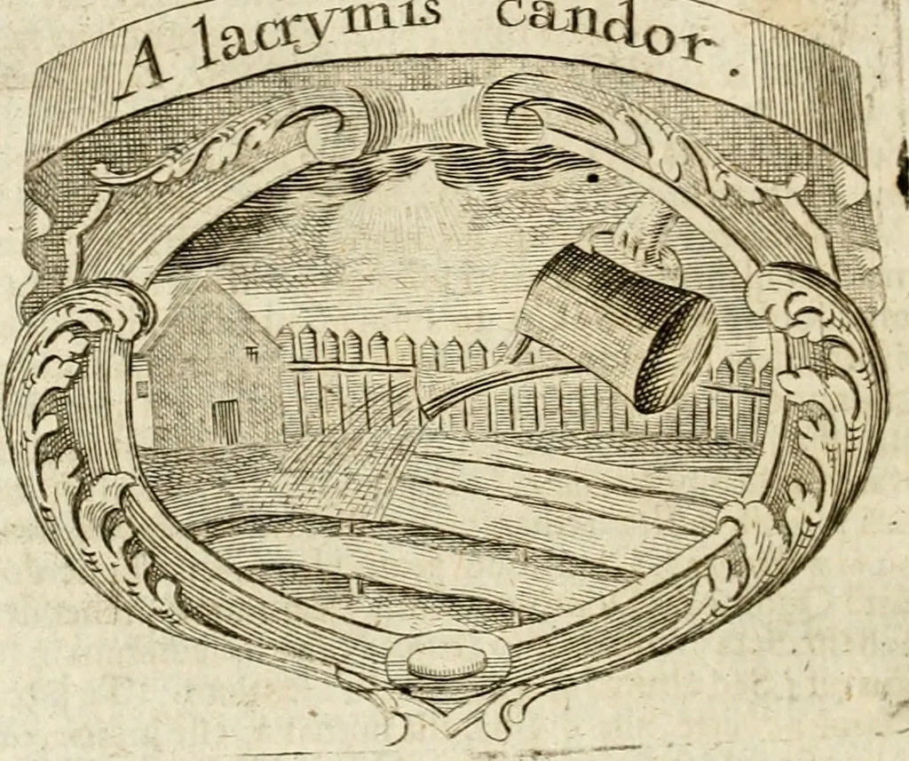 An illustration from Mater amoris et doloris : quam Christus in cruce moriens omnibus ac singulis suis fidelibus in matrem legavit : ecce mater tua : nunc explicata per sacra emblemata, figuras scripturae quàm plurimas, conceptus varios praedicabiles, SS. patrum sententias, raras historias, & pios ad Jesum patientem, ac sanctissimam matrem ejus compatientem affectus : opus omnibus Jesum & Mariam amantibus, praedicantibus, aut meditantibus perutile, com triplici indice considerationum, rerum memorabilium, & concionatorio, formandis per annum concionibus opportuno, 1741, leaf 379