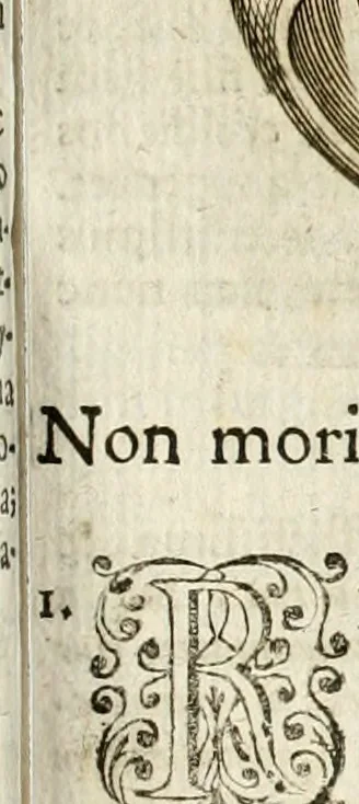 An illustration from Mater amoris et doloris : quam Christus in cruce moriens omnibus ac singulis suis fidelibus in matrem legavit : ecce mater tua : nunc explicata per sacra emblemata, figuras scripturae quàm plurimas, conceptus varios praedicabiles, SS. patrum sententias, raras historias, & pios ad Jesum patientem, ac sanctissimam matrem ejus compatientem affectus : opus omnibus Jesum & Mariam amantibus, praedicantibus, aut meditantibus perutile, com triplici indice considerationum, rerum memorabilium, & concionatorio, formandis per annum concionibus opportuno, 1741, leaf 386