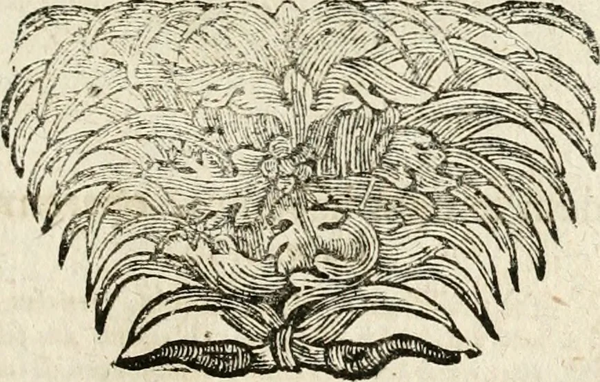 An illustration from Mater amoris et doloris : quam Christus in cruce moriens omnibus ac singulis suis fidelibus in matrem legavit : ecce mater tua : nunc explicata per sacra emblemata, figuras scripturae quàm plurimas, conceptus varios praedicabiles, SS. patrum sententias, raras historias, & pios ad Jesum patientem, ac sanctissimam matrem ejus compatientem affectus : opus omnibus Jesum & Mariam amantibus, praedicantibus, aut meditantibus perutile, com triplici indice considerationum, rerum memorabilium, & concionatorio, formandis per annum concionibus opportuno, 1741, leaf 422