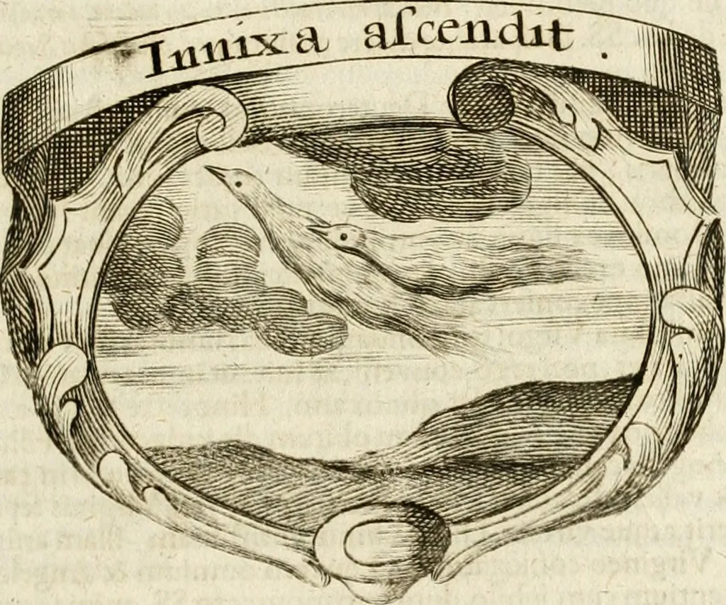 An illustration from Mater amoris et doloris : quam Christus in cruce moriens omnibus ac singulis suis fidelibus in matrem legavit : ecce mater tua : nunc explicata per sacra emblemata, figuras scripturae quàm plurimas, conceptus varios praedicabiles, SS. patrum sententias, raras historias, & pios ad Jesum patientem, ac sanctissimam matrem ejus compatientem affectus : opus omnibus Jesum & Mariam amantibus, praedicantibus, aut meditantibus perutile, com triplici indice considerationum, rerum memorabilium, & concionatorio, formandis per annum concionibus opportuno, 1741, leaf 470