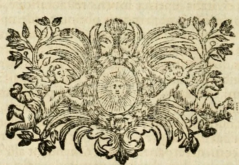 An illustration from Mater amoris et doloris : quam Christus in cruce moriens omnibus ac singulis suis fidelibus in matrem legavit : ecce mater tua : nunc explicata per sacra emblemata, figuras scripturae quàm plurimas, conceptus varios praedicabiles, SS. patrum sententias, raras historias, & pios ad Jesum patientem, ac sanctissimam matrem ejus compatientem affectus : opus omnibus Jesum & Mariam amantibus, praedicantibus, aut meditantibus perutile, com triplici indice considerationum, rerum memorabilium, & concionatorio, formandis per annum concionibus opportuno, 1741, leaf 491