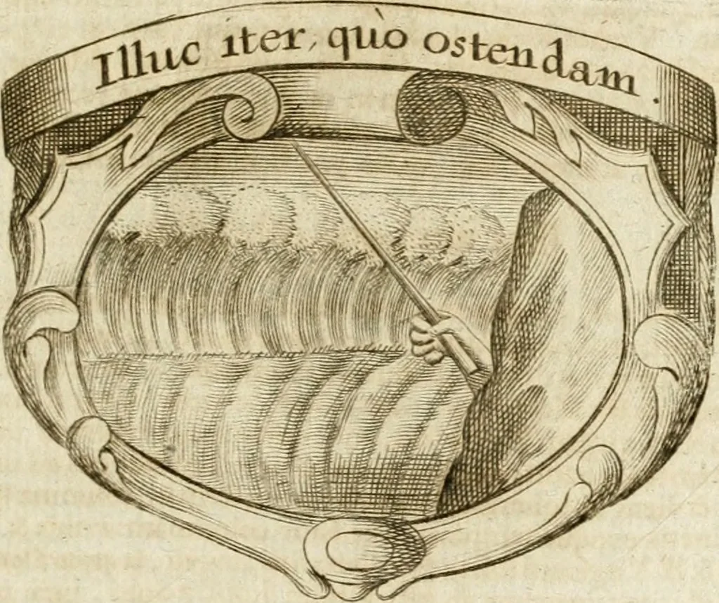 An illustration from Mater amoris et doloris : quam Christus in cruce moriens omnibus ac singulis suis fidelibus in matrem legavit : ecce mater tua : nunc explicata per sacra emblemata, figuras scripturae quàm plurimas, conceptus varios praedicabiles, SS. patrum sententias, raras historias, & pios ad Jesum patientem, ac sanctissimam matrem ejus compatientem affectus : opus omnibus Jesum & Mariam amantibus, praedicantibus, aut meditantibus perutile, com triplici indice considerationum, rerum memorabilium, & concionatorio, formandis per annum concionibus opportuno, 1741, leaf 492