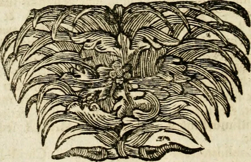 An illustration from Mater amoris et doloris : quam Christus in cruce moriens omnibus ac singulis suis fidelibus in matrem legavit : ecce mater tua : nunc explicata per sacra emblemata, figuras scripturae quàm plurimas, conceptus varios praedicabiles, SS. patrum sententias, raras historias, & pios ad Jesum patientem, ac sanctissimam matrem ejus compatientem affectus : opus omnibus Jesum & Mariam amantibus, praedicantibus, aut meditantibus perutile, com triplici indice considerationum, rerum memorabilium, & concionatorio, formandis per annum concionibus opportuno, 1741, leaf 523