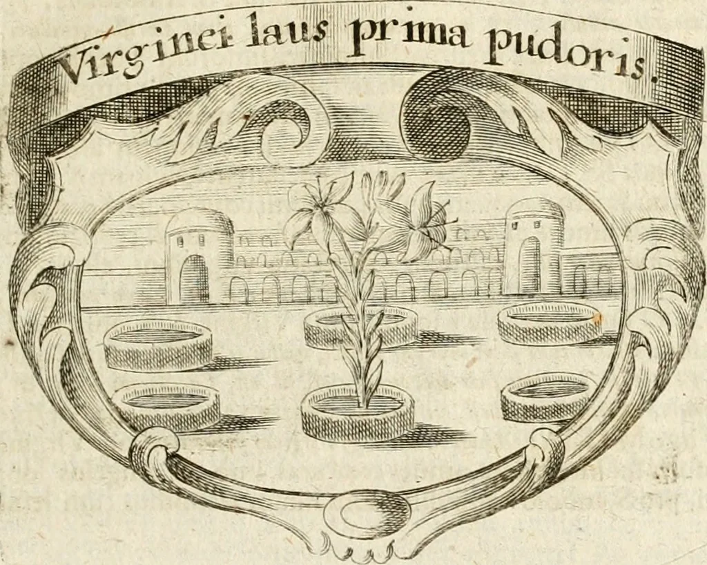 An illustration from Mater amoris et doloris : quam Christus in cruce moriens omnibus ac singulis suis fidelibus in matrem legavit : ecce mater tua : nunc explicata per sacra emblemata, figuras scripturae quàm plurimas, conceptus varios praedicabiles, SS. patrum sententias, raras historias, & pios ad Jesum patientem, ac sanctissimam matrem ejus compatientem affectus : opus omnibus Jesum & Mariam amantibus, praedicantibus, aut meditantibus perutile, com triplici indice considerationum, rerum memorabilium, & concionatorio, formandis per annum concionibus opportuno, 1741, leaf 74