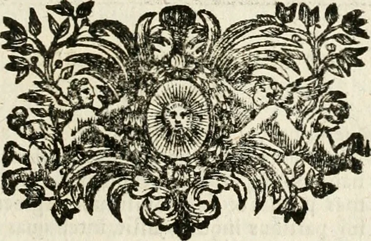 An illustration from Mater amoris et doloris : quam Christus in cruce moriens omnibus ac singulis suis fidelibus in matrem legavit : ecce mater tua : nunc explicata per sacra emblemata, figuras scripturae quàm plurimas, conceptus varios praedicabiles, SS. patrum sententias, raras historias, & pios ad Jesum patientem, ac sanctissimam matrem ejus compatientem affectus : opus omnibus Jesum & Mariam amantibus, praedicantibus, aut meditantibus perutile, com triplici indice considerationum, rerum memorabilium, & concionatorio, formandis per annum concionibus opportuno, 1741, leaf 80