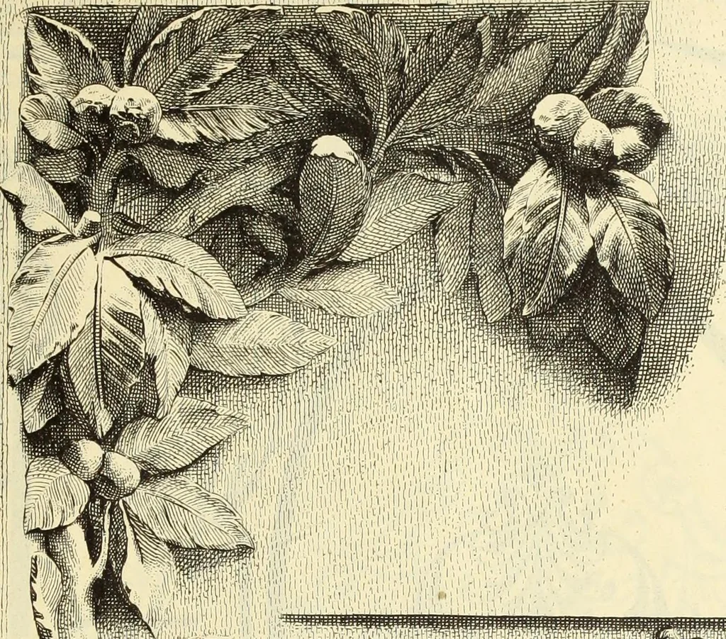 An illustration from Materials and documents of architecture and sculpture : classified alphabetically, 1915, leaf 144