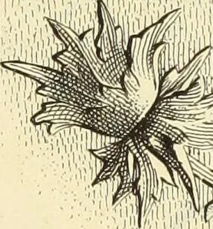 An illustration from Materials and documents of architecture and sculpture : classified alphabetically, 1915, leaf 144
