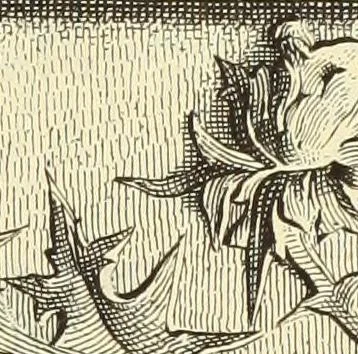 An illustration from Materials and documents of architecture and sculpture : classified alphabetically, 1915, leaf 144