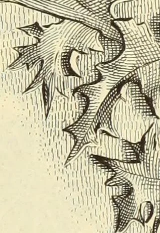An illustration from Materials and documents of architecture and sculpture : classified alphabetically, 1915, leaf 144
