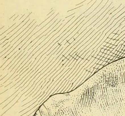An illustration from Materials and documents of architecture and sculpture : classified alphabetically, 1915, leaf 202