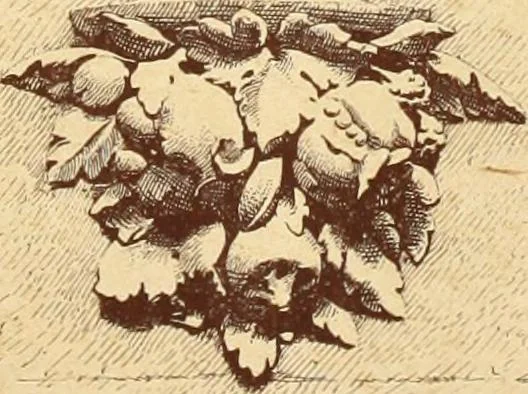 An illustration from Materials and documents of architecture and sculpture : classified alphabetically, 1915, leaf 238