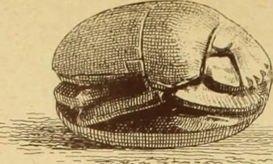An illustration from Materials and documents of architecture and sculpture : classified alphabetically, 1915, leaf 329