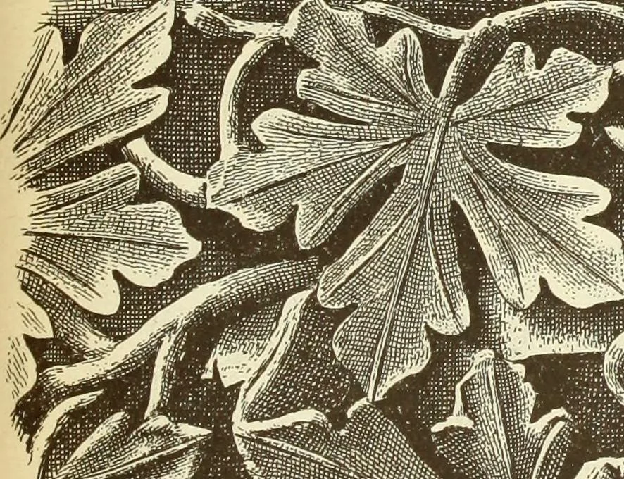 An illustration from Materials and documents of architecture and sculpture : classified alphabetically, 1915, leaf 110