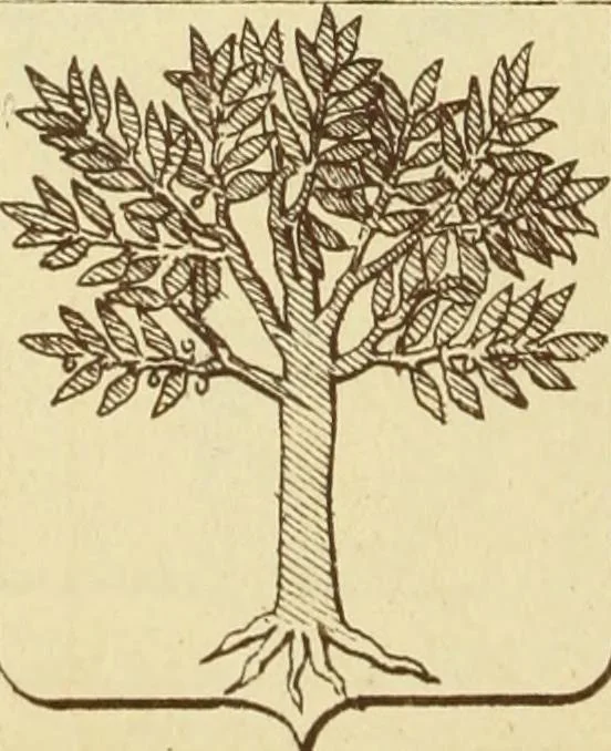 An illustration from Materials and documents of architecture and sculpture : classified alphabetically, 1915, leaf 147