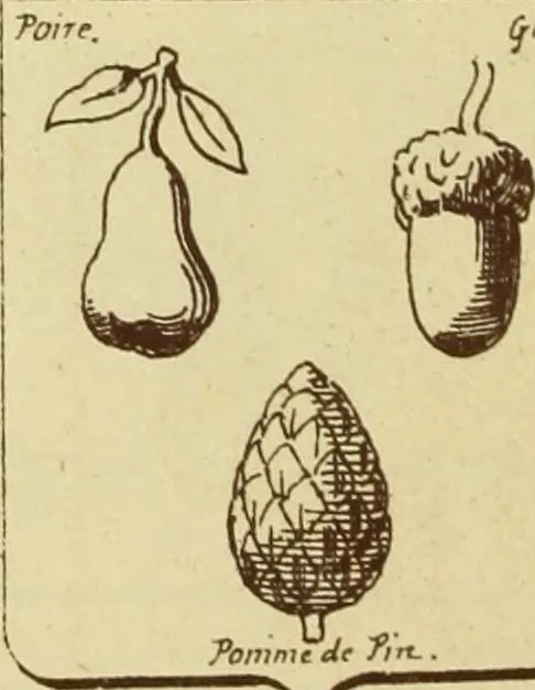 An illustration from Materials and documents of architecture and sculpture : classified alphabetically, 1915, leaf 147