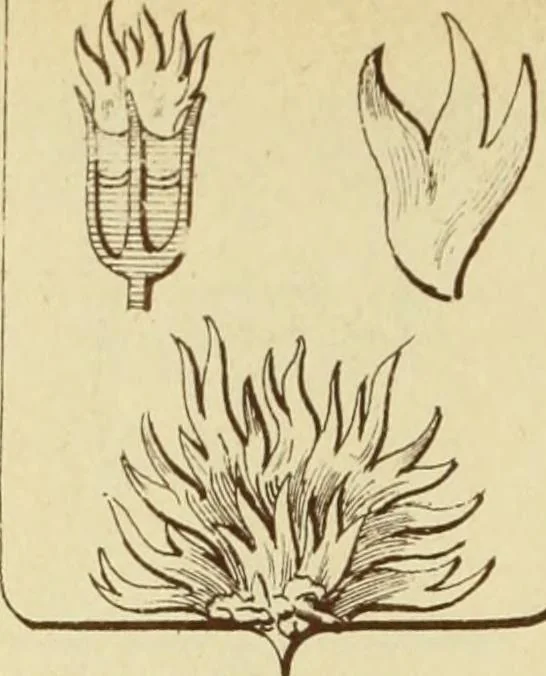 An illustration from Materials and documents of architecture and sculpture : classified alphabetically, 1915, leaf 149
