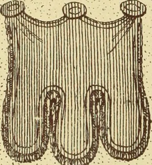 An illustration from Materials and documents of architecture and sculpture : classified alphabetically, 1915, leaf 151