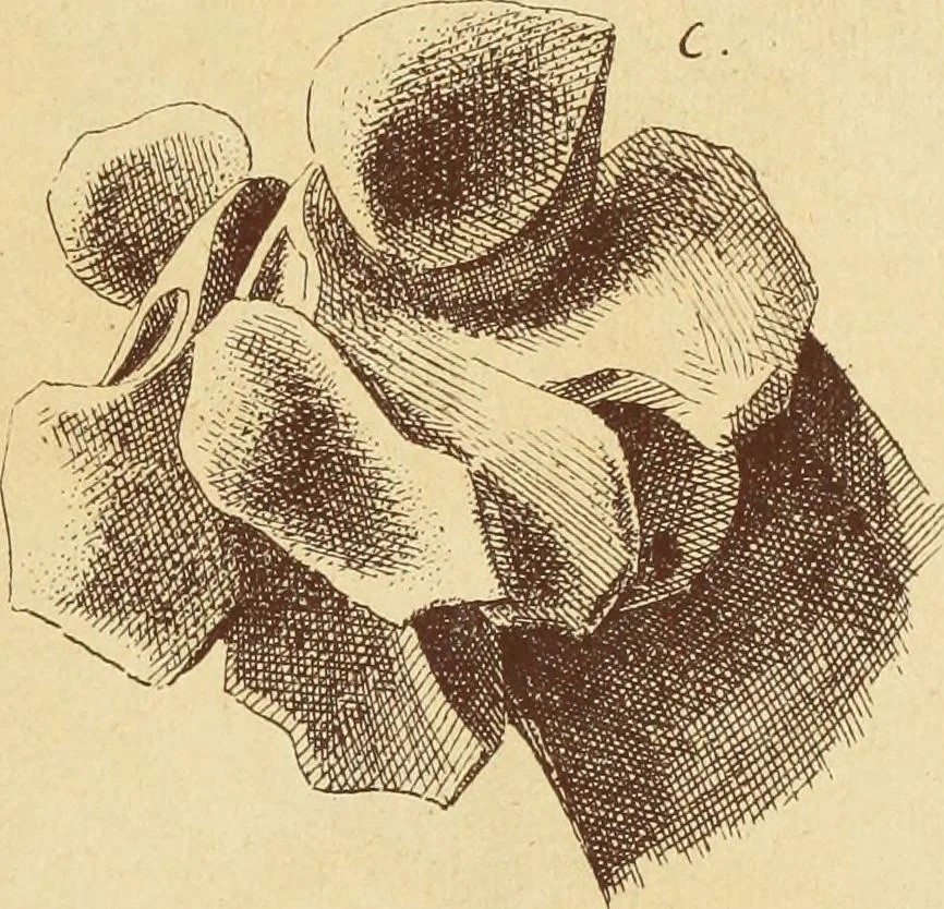 An illustration from Materials and documents of architecture and sculpture : classified alphabetically, 1915, leaf 376