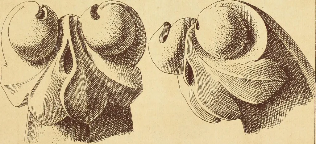 An illustration from Materials and documents of architecture and sculpture : classified alphabetically, 1915, leaf 376