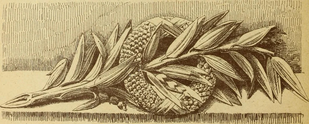 An illustration from Materials and documents of architecture and sculpture : classified alphabetically, 1915, leaf 447