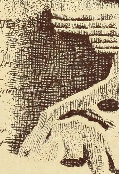 An illustration from Materials and documents of architecture and sculpture : classified alphabetically, 1915, leaf 286