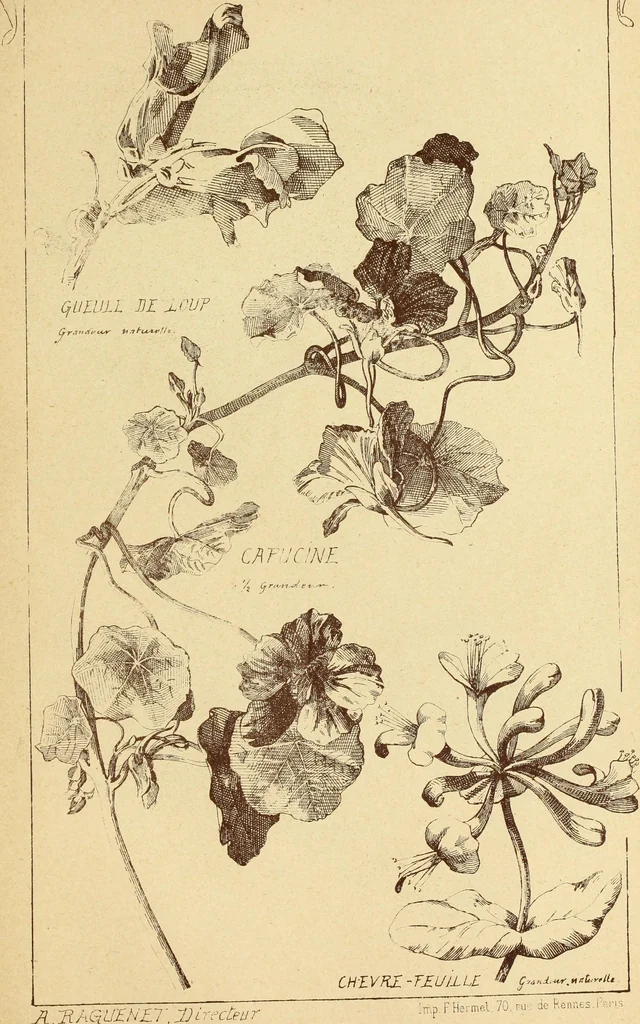 An illustration from Materials and documents of architecture and sculpture : classified alphabetically, 1915, leaf 420