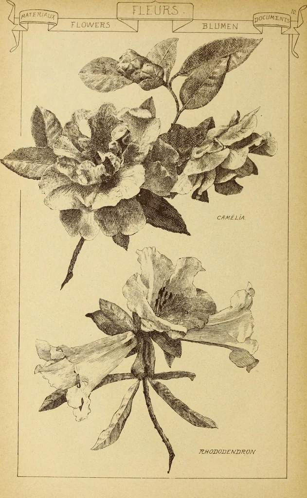 An illustration from Materials and documents of architecture and sculpture : classified alphabetically, 1915, leaf 429