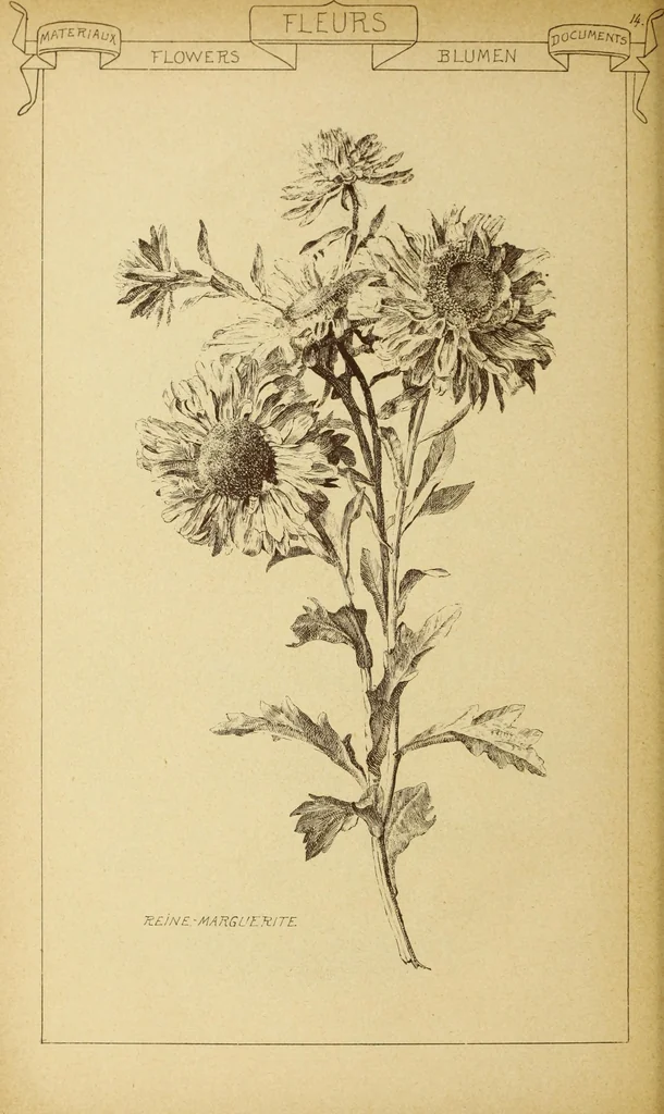 An illustration from Materials and documents of architecture and sculpture : classified alphabetically, 1915, leaf 433
